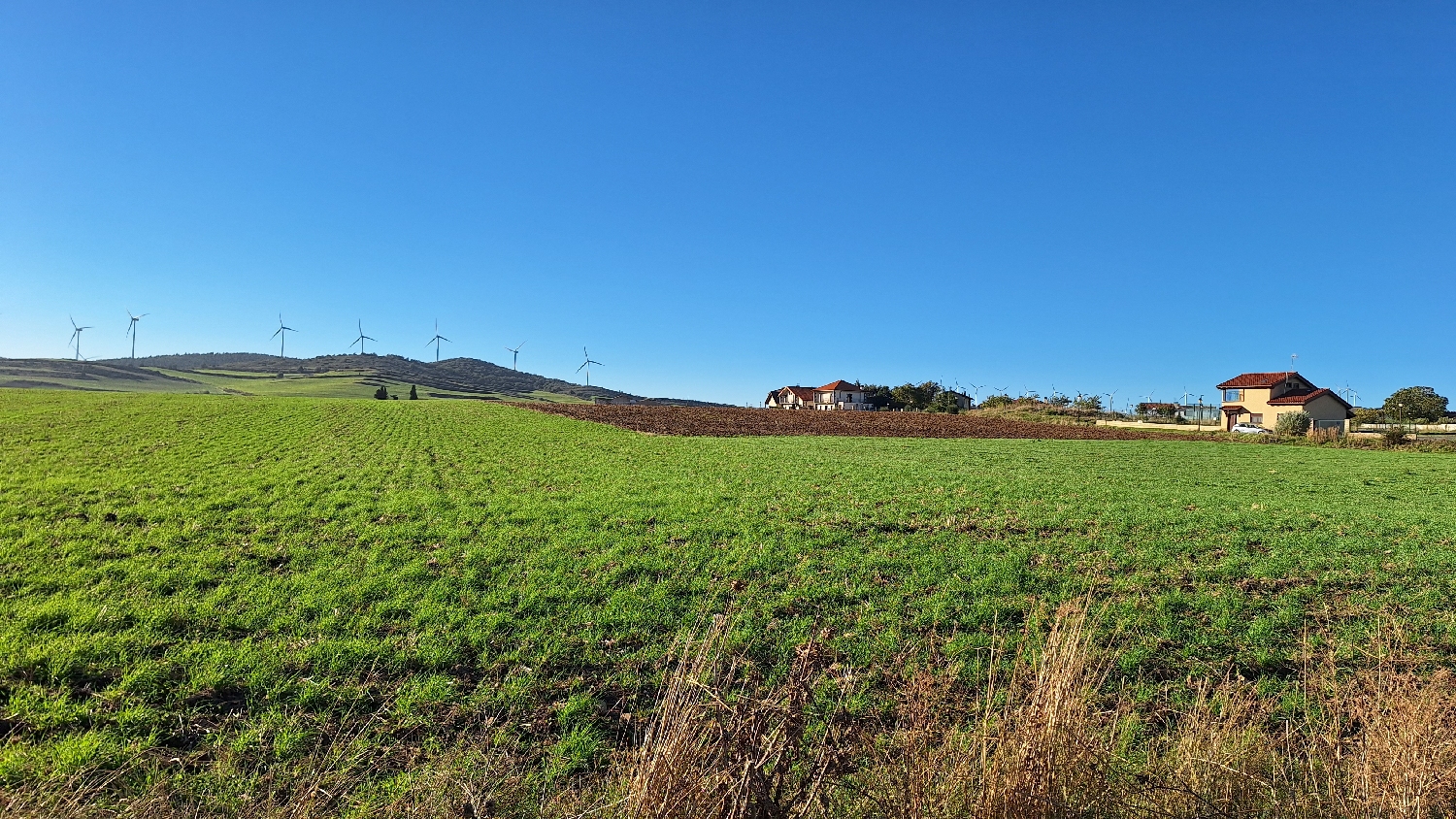 El Camino, Aragon út, mezőgazdasági terület