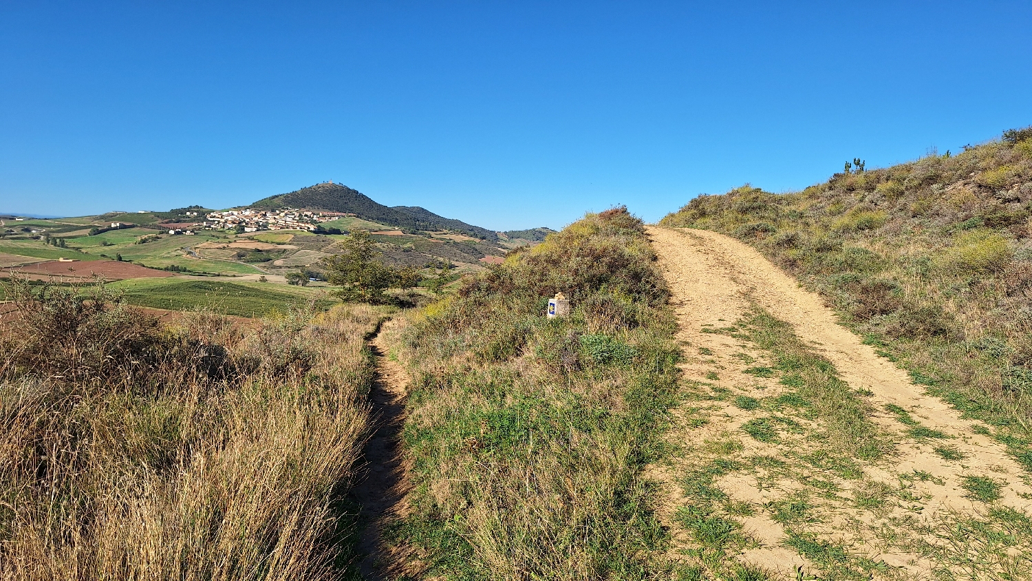 El Camino, Aragon út, már megint a lábszárbirizgálós szűk ösvény