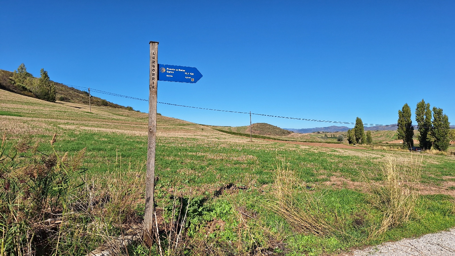 El Camino, Aragon út, már nincs messze Puente la Reina