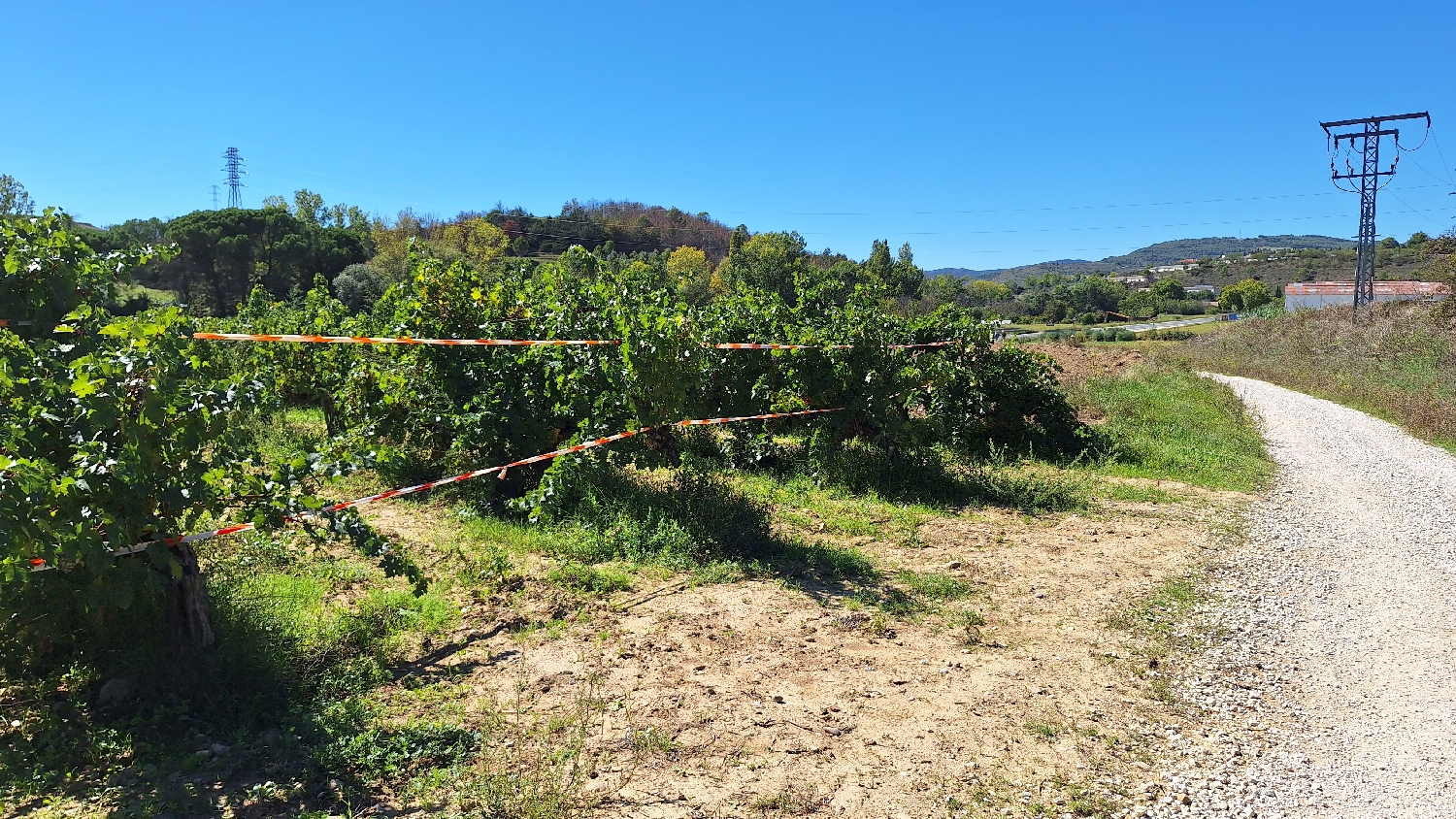 El Camino, Aragon út, Francia út, itt már piros-fehér szalaggal kerítik el a szőlőültetvényeket