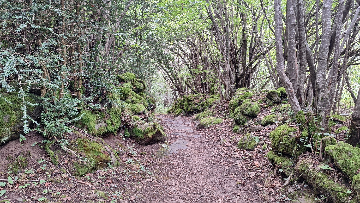 El Camino Aragonés, szép gyalogút