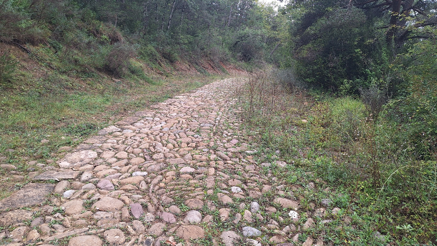 El Camino, Aragon út, köves út 