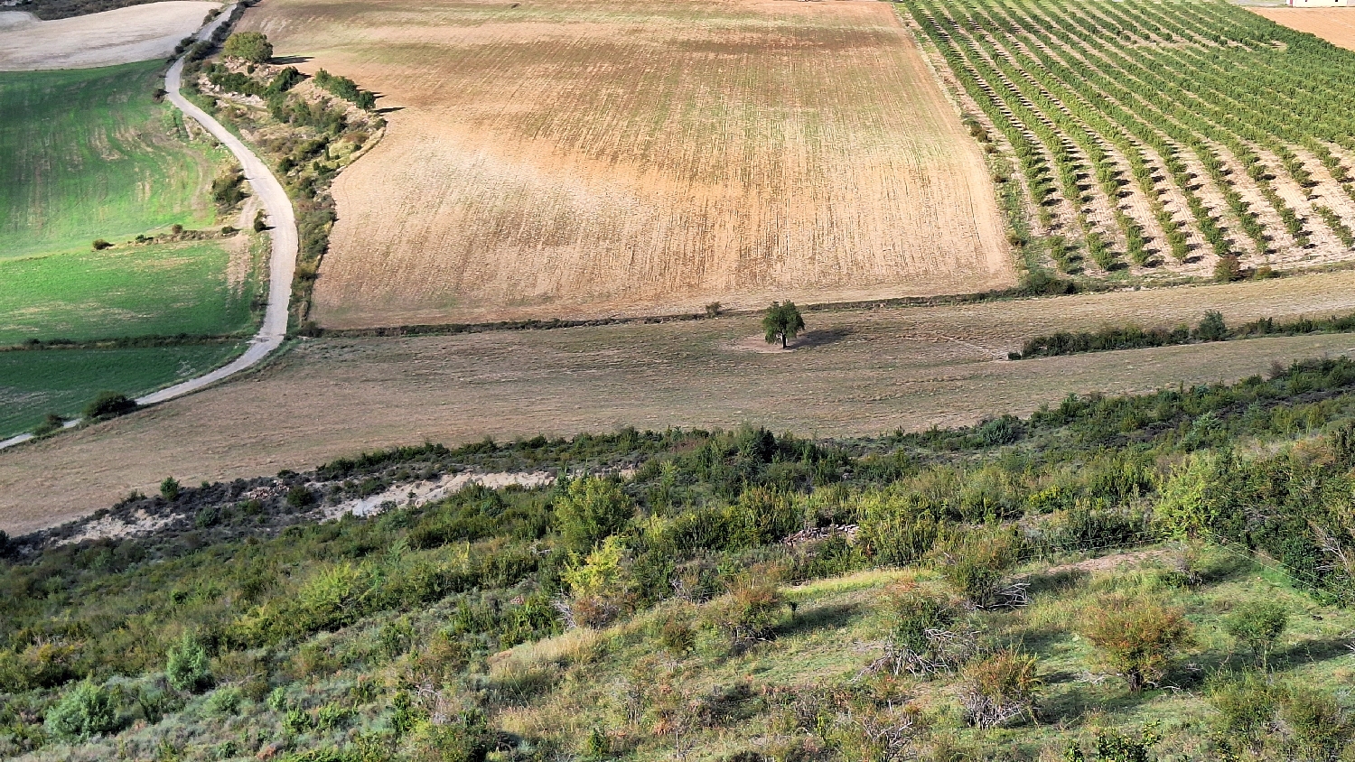 El Camino, Aragon Út, Arrés, kilátás a környékre