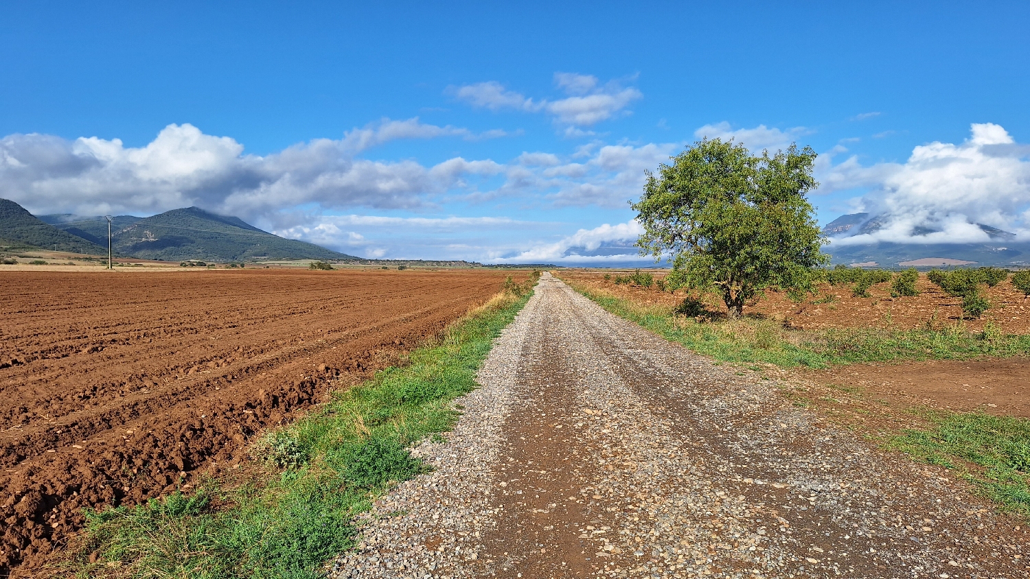 El Camino, Aragon út, széles gyalogút