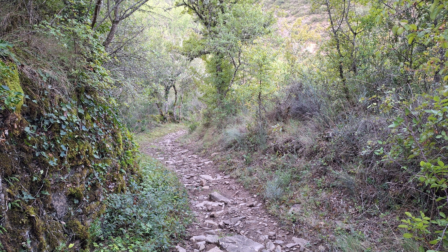 El Camino, Aragon út, Ruesta után meredek köves út vezet lefelé
