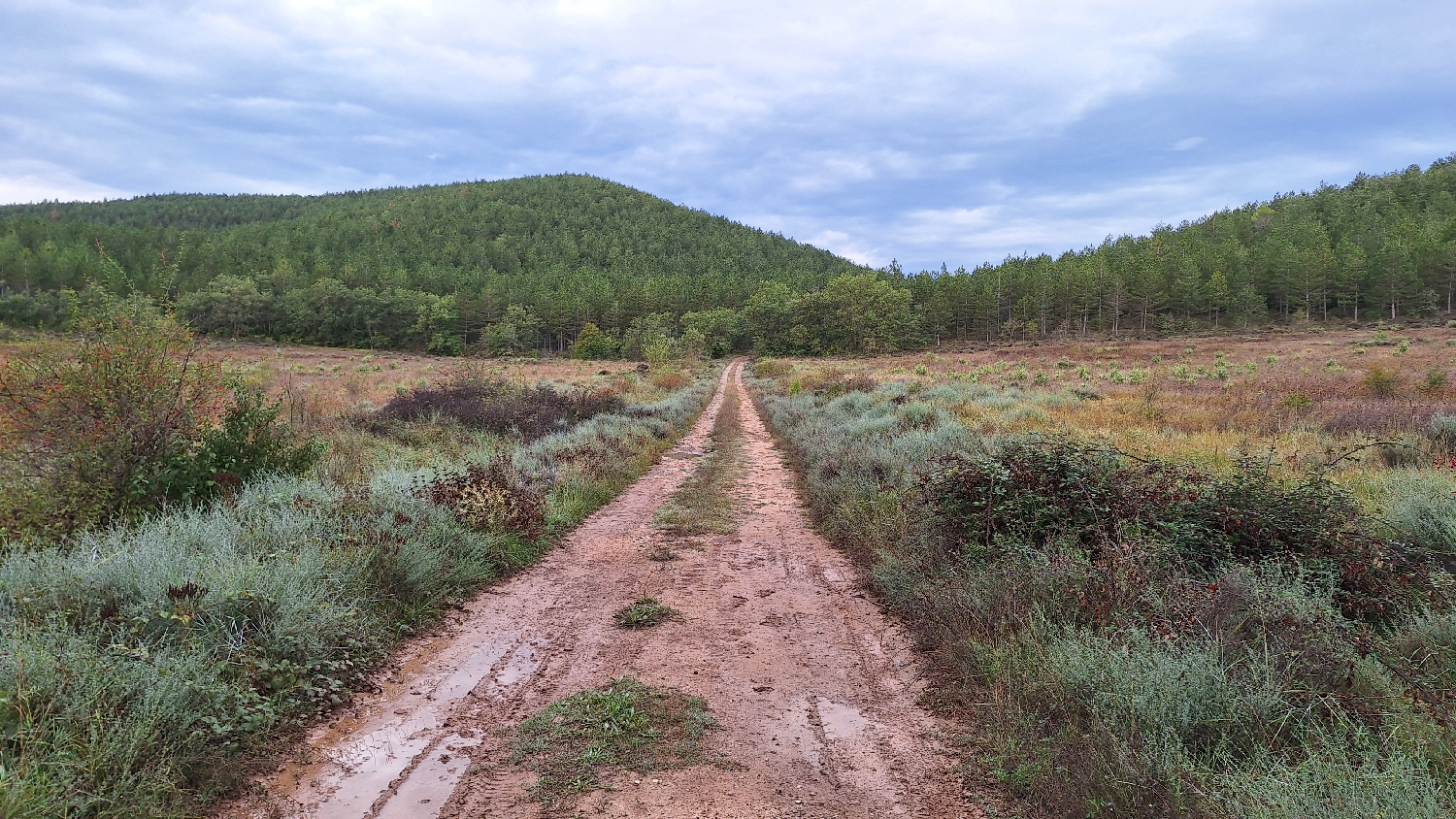 El Camino, Aragon út, széles gyalogút