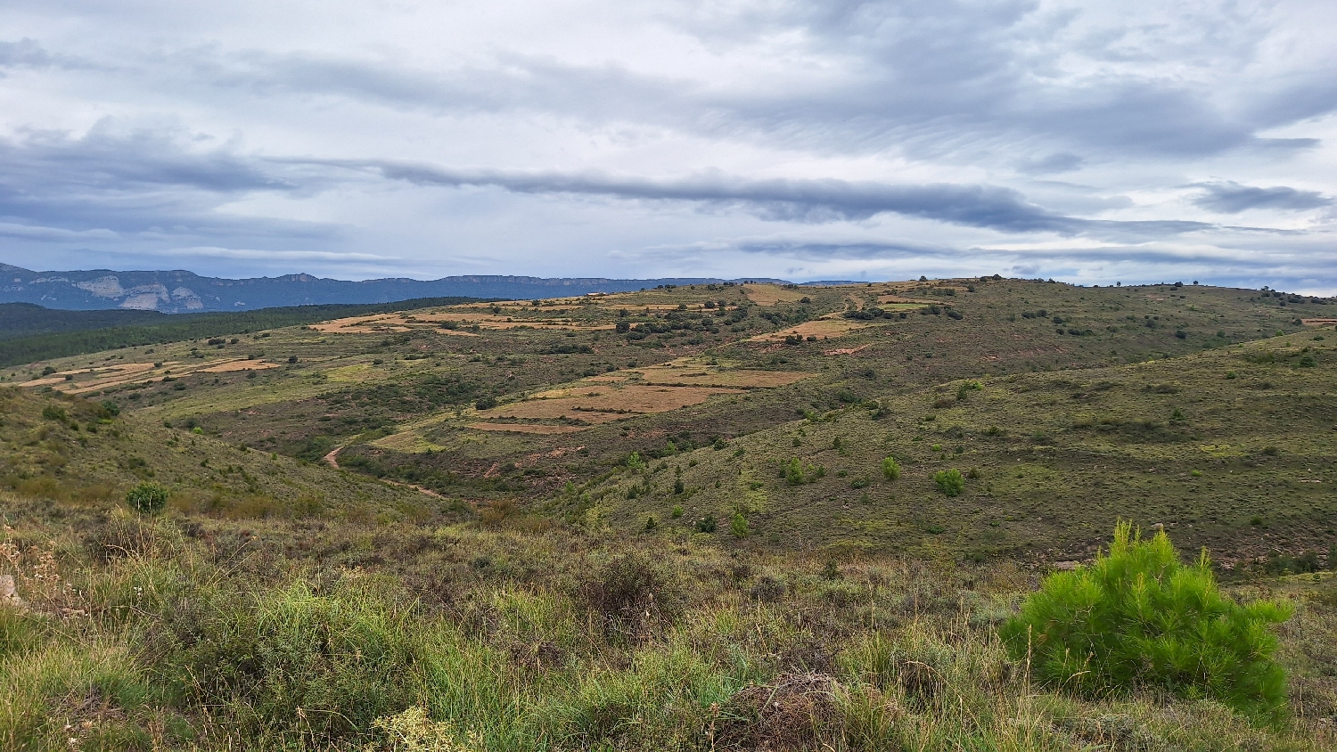 El Camino, Aragon út, szép kilátás