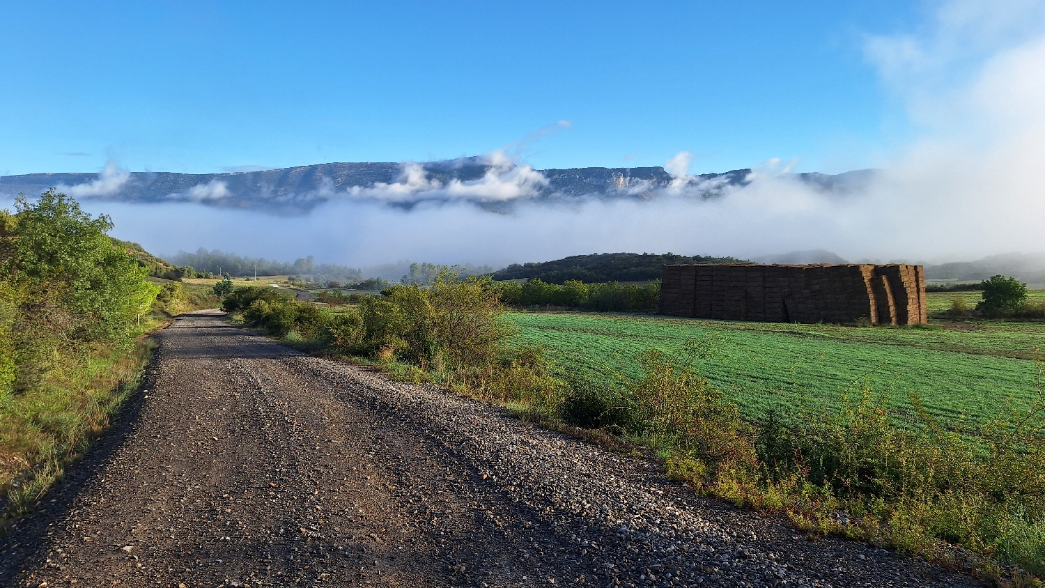 El Camino, Aragon út, széles út