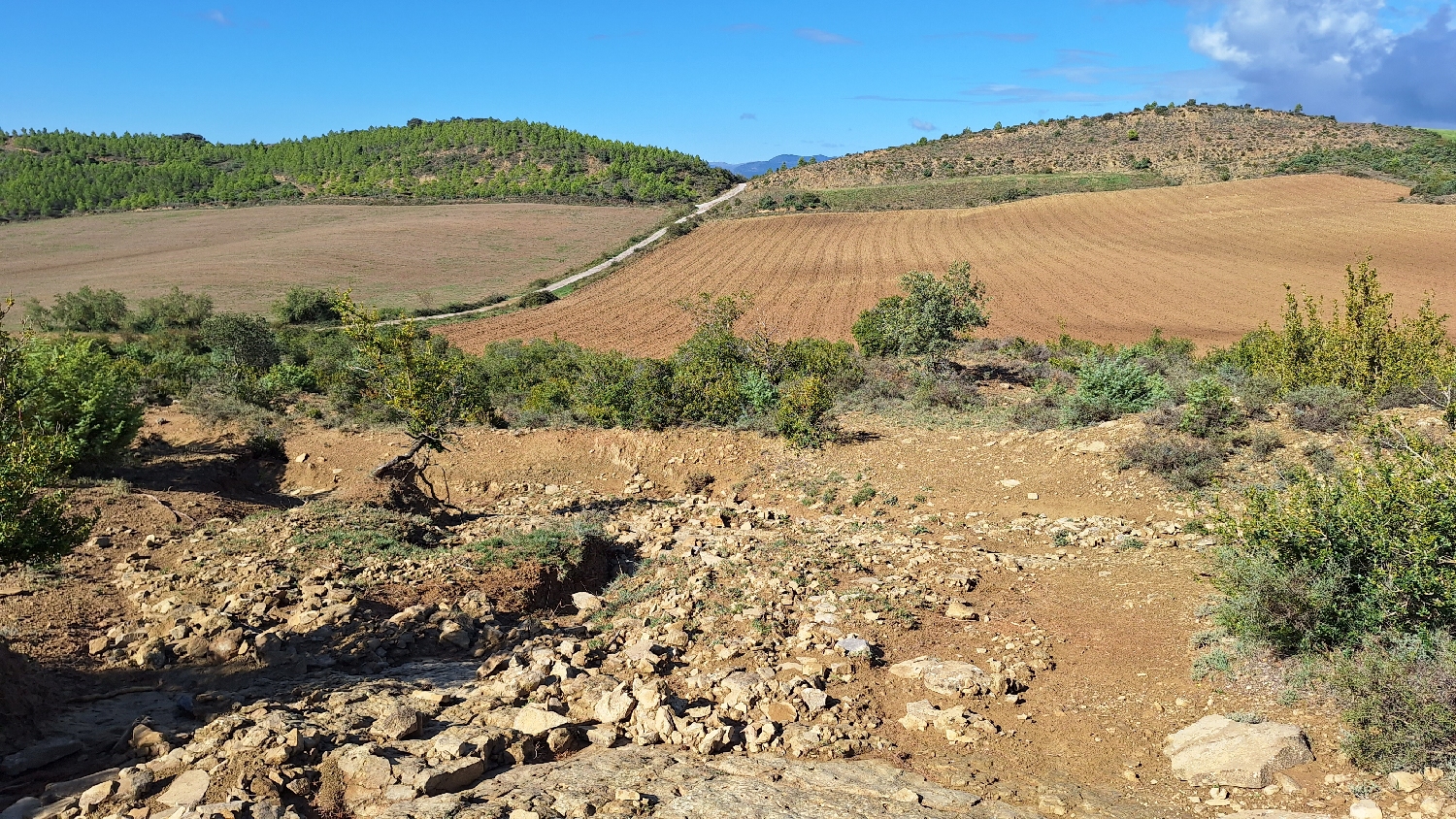 El Camino, Aragon út, végre lefelé vezet az út