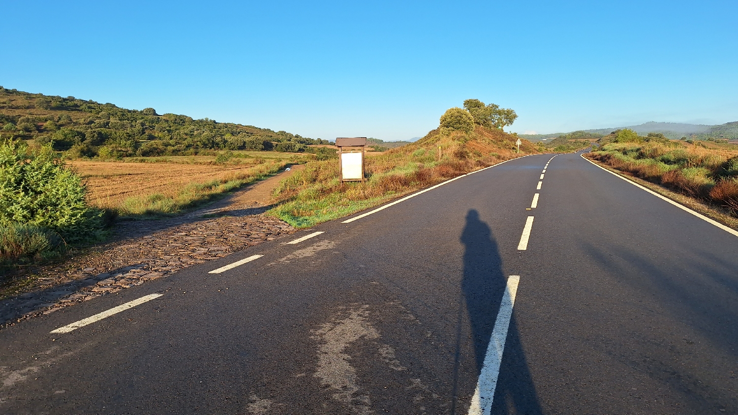 El Camino, Aragon út, útelágazás