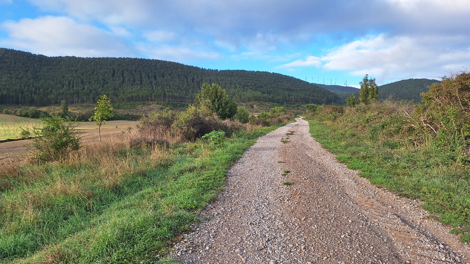 El Camino, Aragon út, szép táj, földúttal