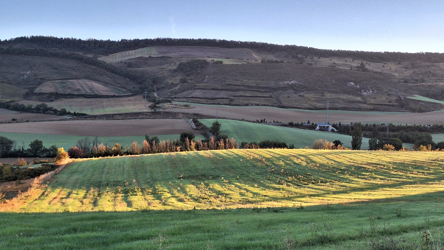 El Camino, Aragon út, reggeli táj