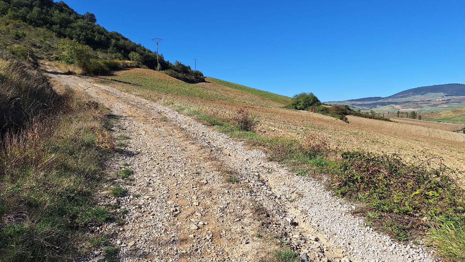 El Camino, Aragon út, széles gyalogút