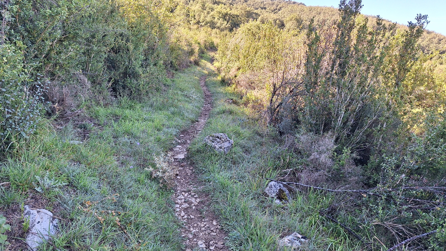 El Camino, Aragon út, szűk gyalogút