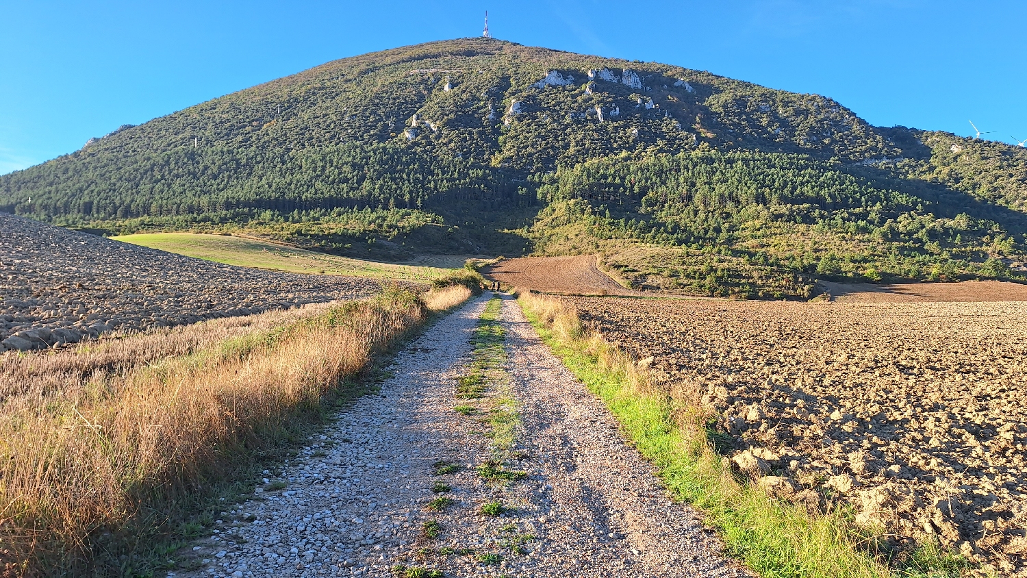 El Camino, Aragon út, széles gyalogút