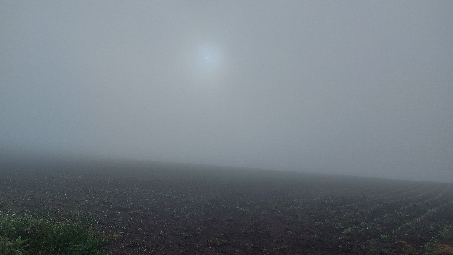 El Camino Primitivo, sokáig sűrű ködben gyalogoltunk