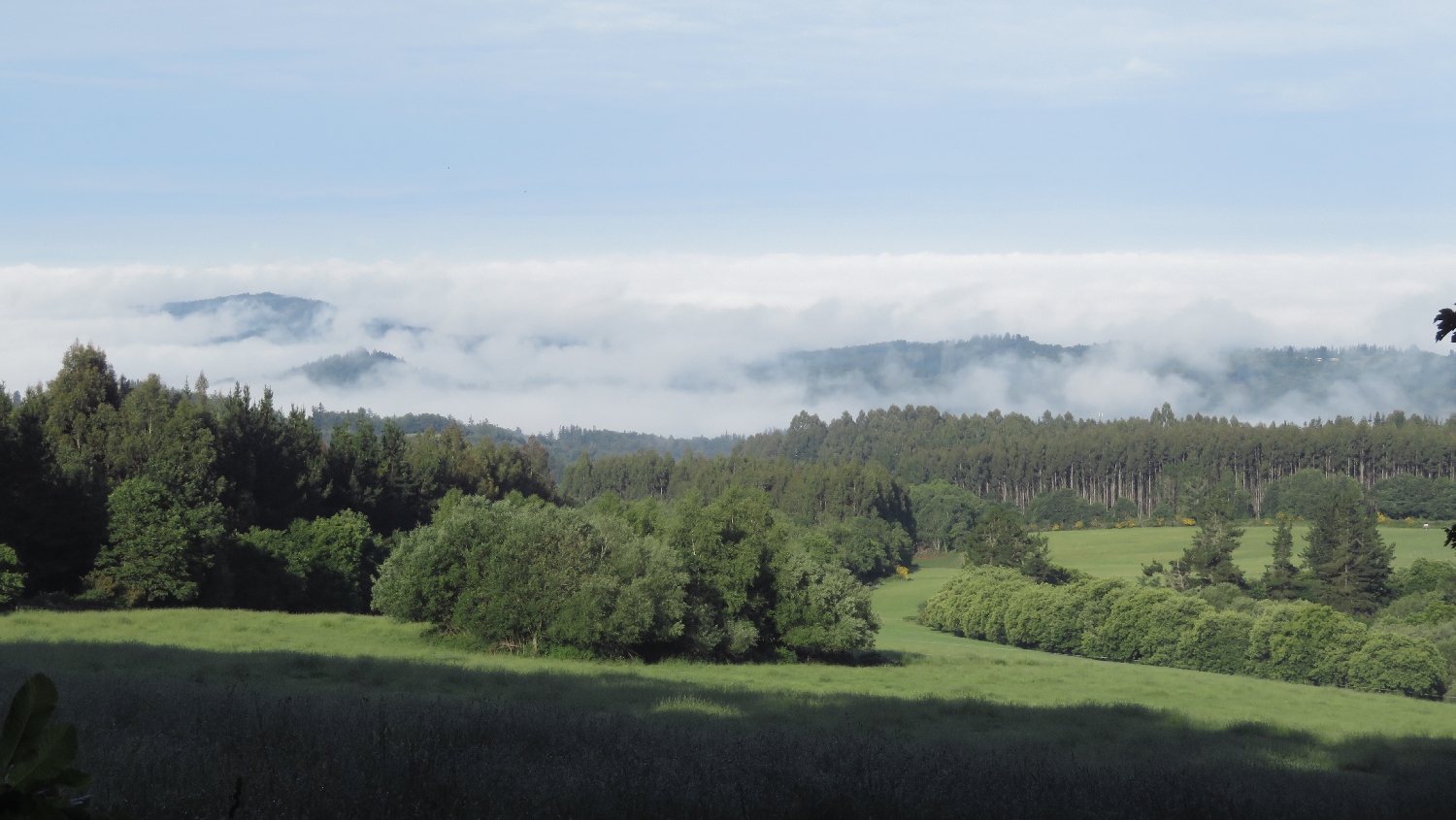 El Camino Primitivo, végre felszállt a köd és előtűntek a szép tájak