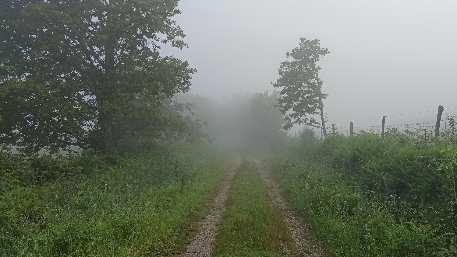 El Camino Primitivo, sokáig sűrű ködben gyalogoltunk