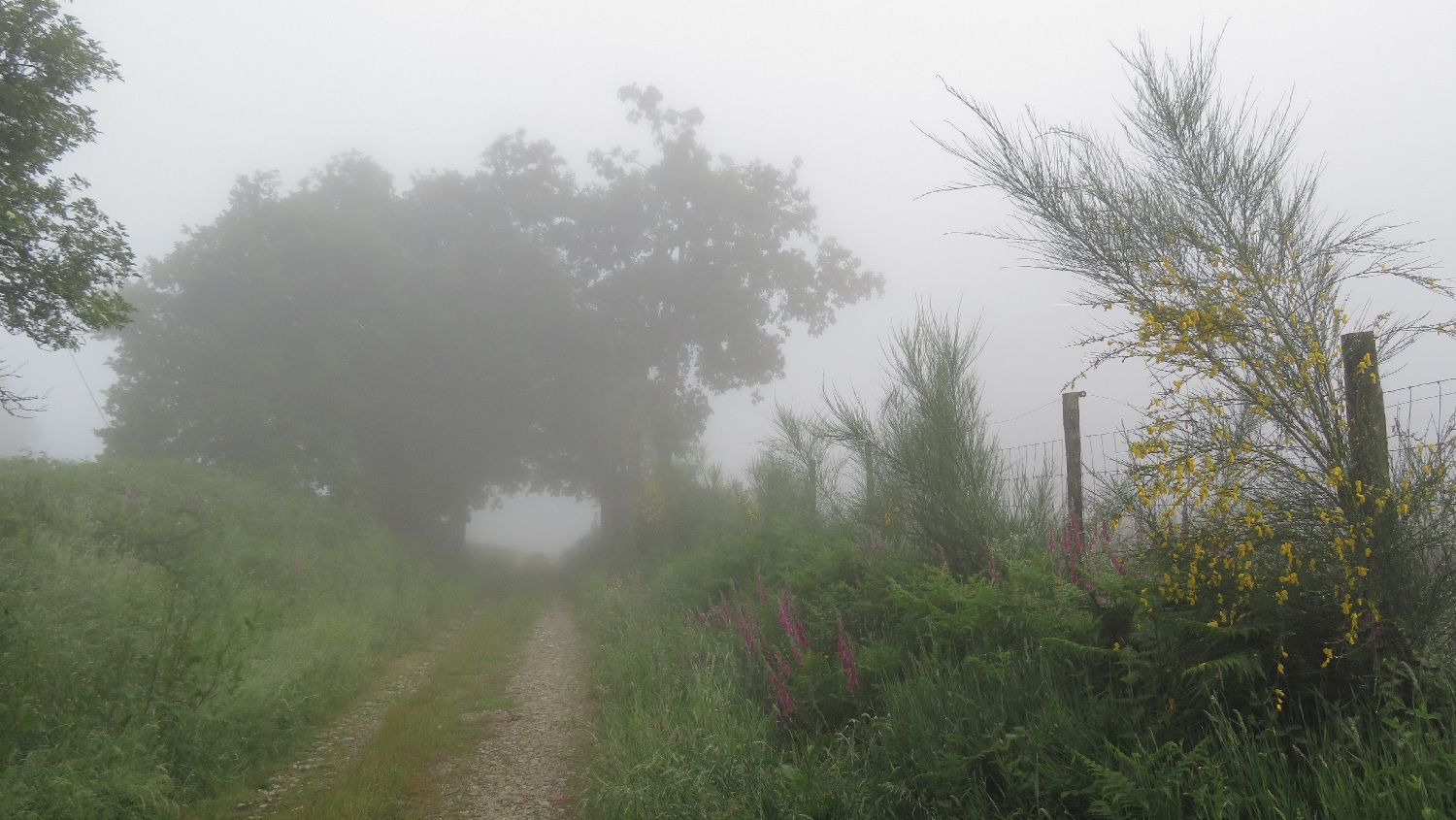 El Camino Primitivo, sokáig sűrű ködben gyalogoltunk