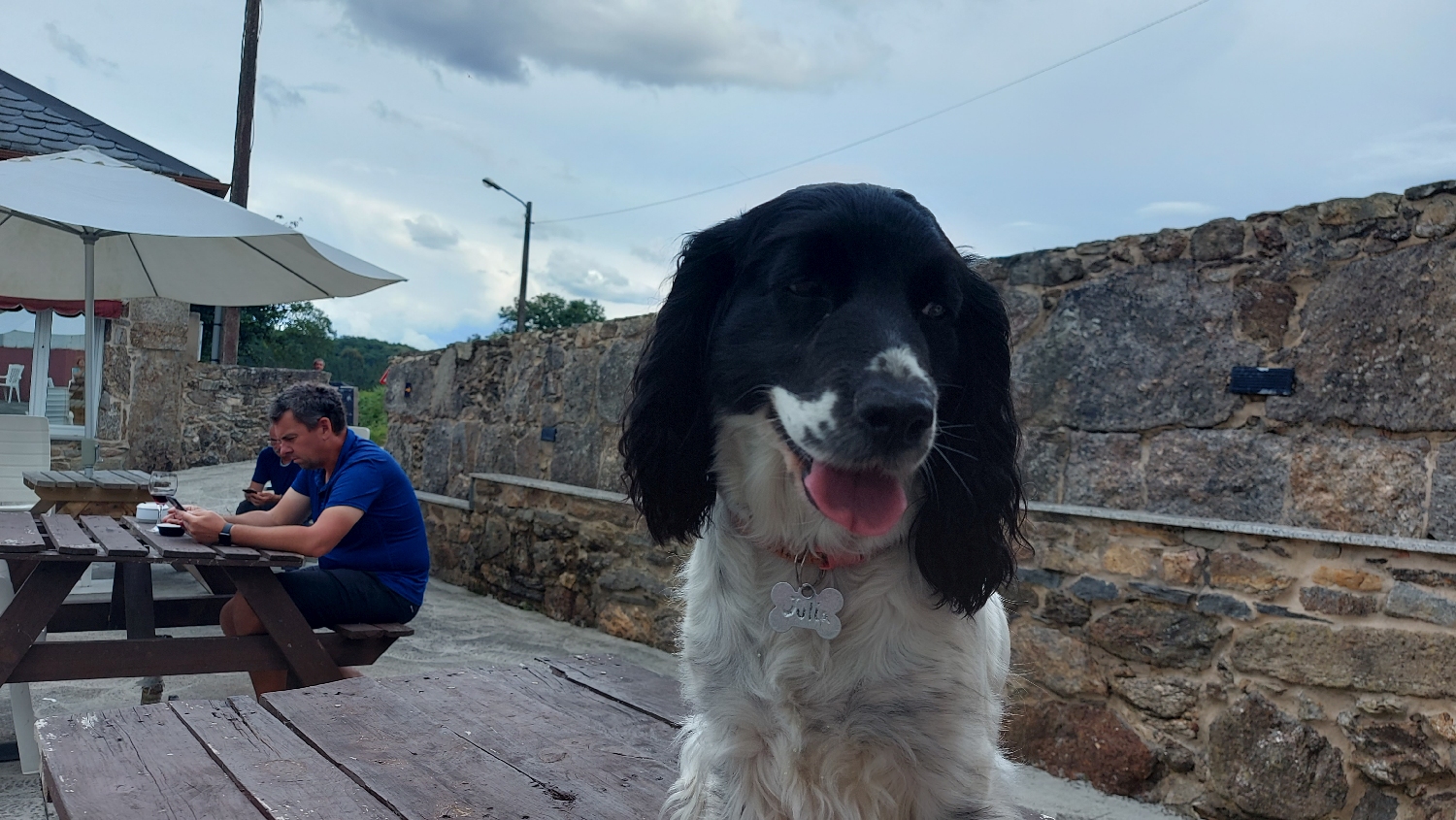 El Camino Primitivo, Ferreira, egy kutyus barátkozik velem az asztalomon