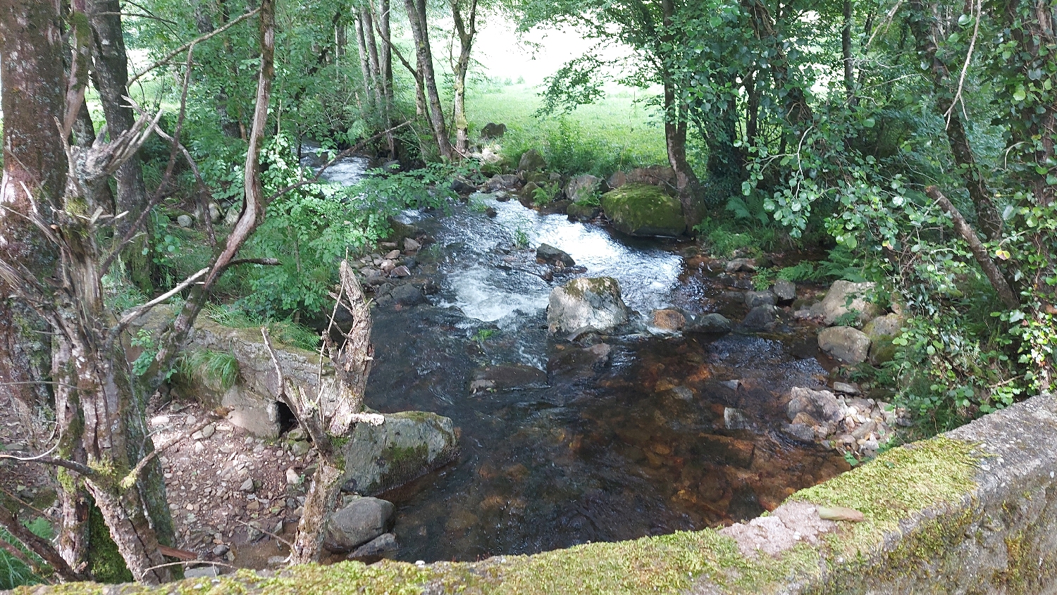 El Camino Primitivo, patak