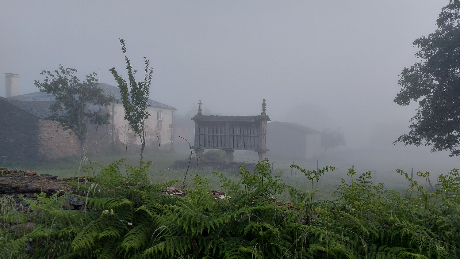 El Camino Primitivo, Ferreira reggel a ködben