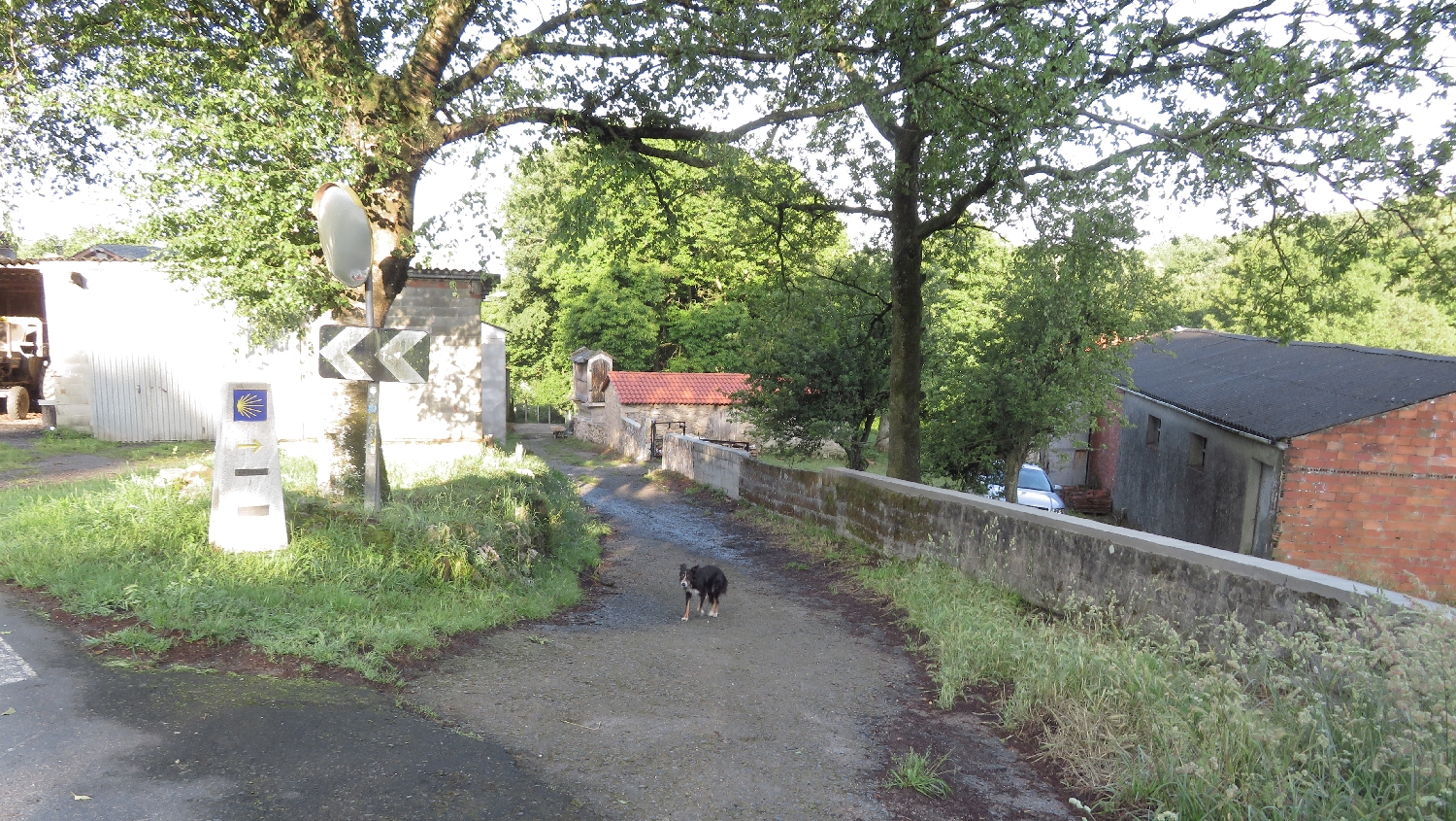 El Camino Primitivo, falu kutyával