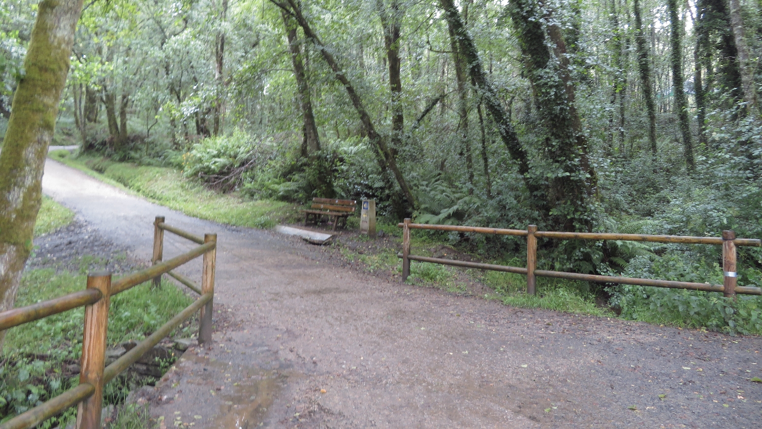 El Camino Primitivo, Francia út, erdei út