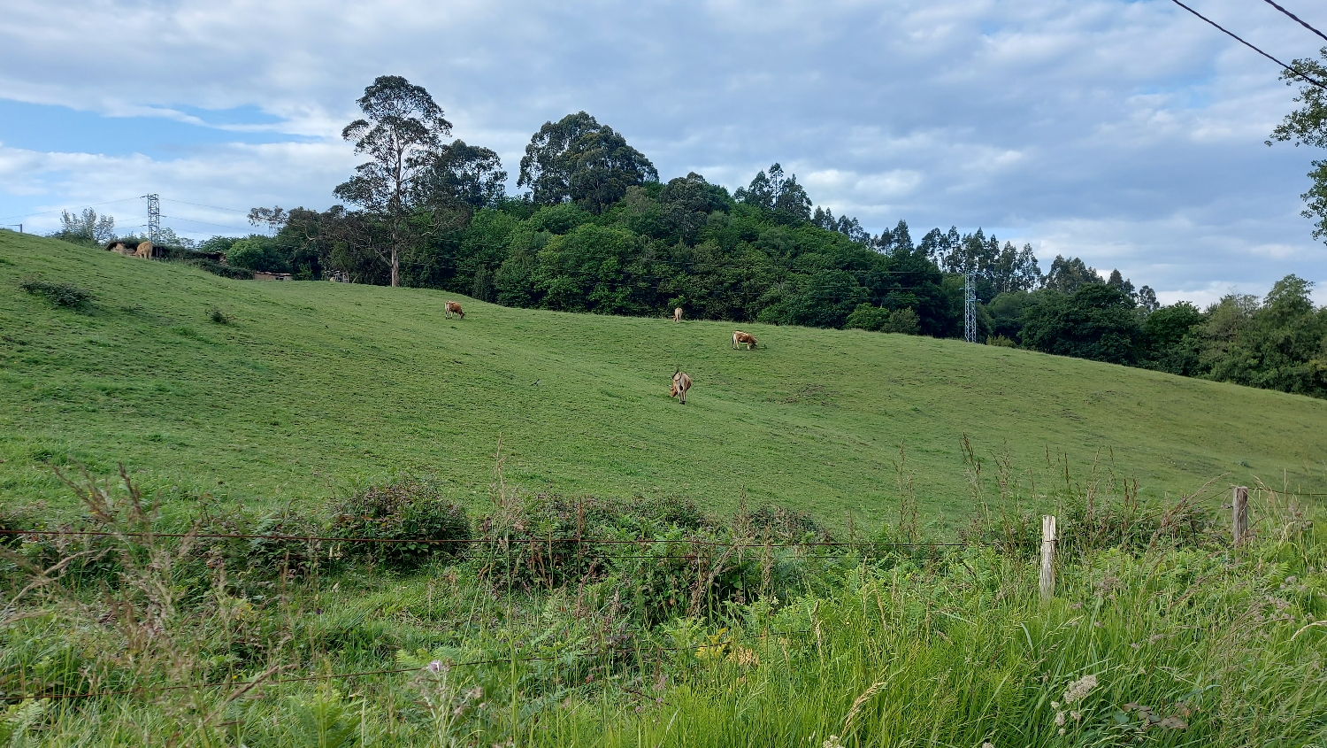 Camino Primitivo, Oviedo, a város széle