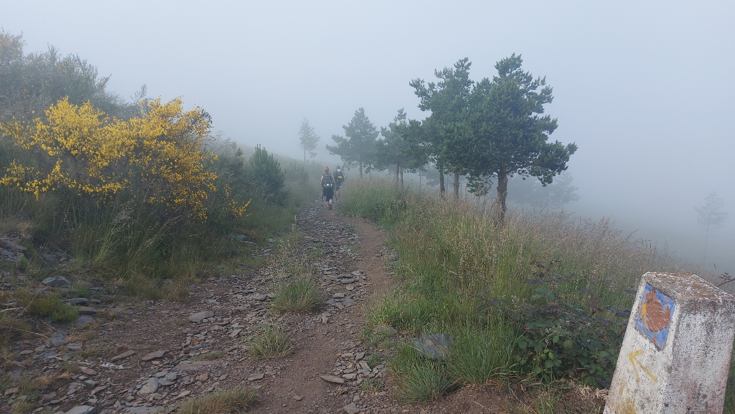 El Camino Primitivo, köd és lejtős út