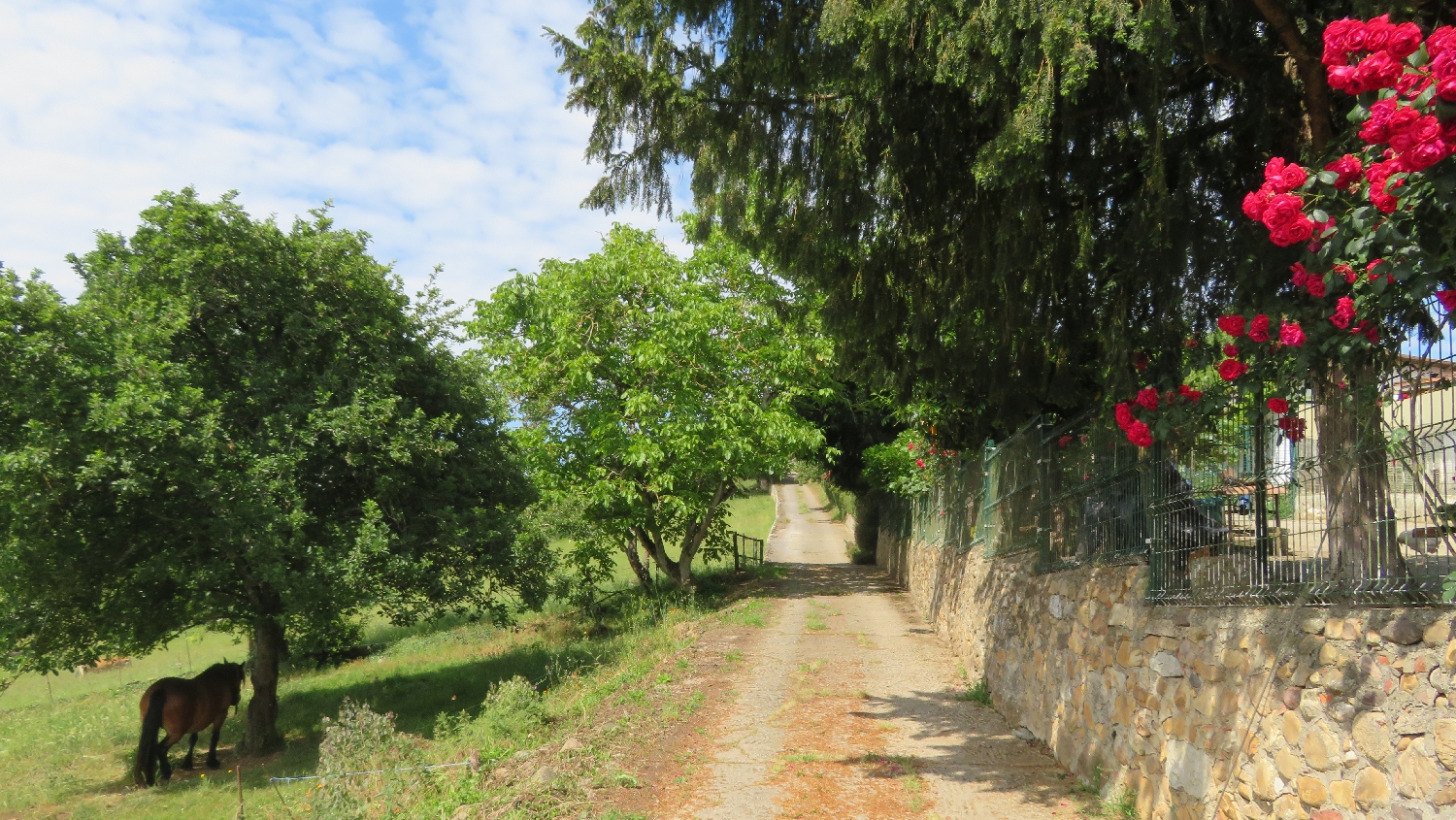 Camino Primitivo, gyalogút Grado után