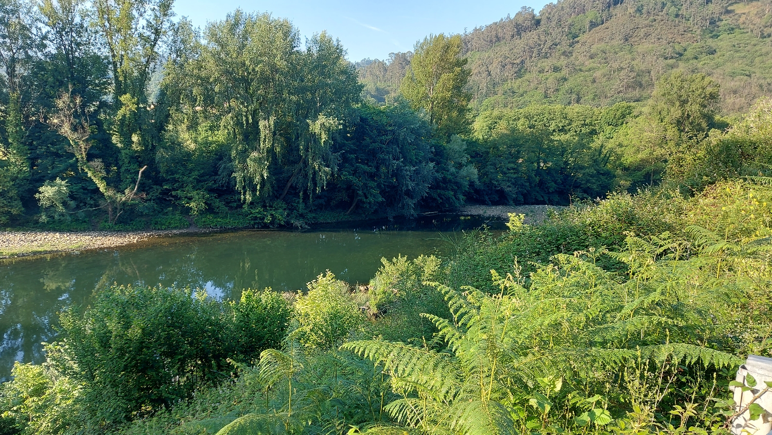 Camino Primitivo, reggeli gyaloglás a folyópart mentén