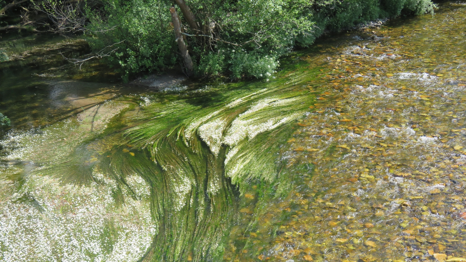 Camino Primitivo, a Río Narcea, Cornellana előtt