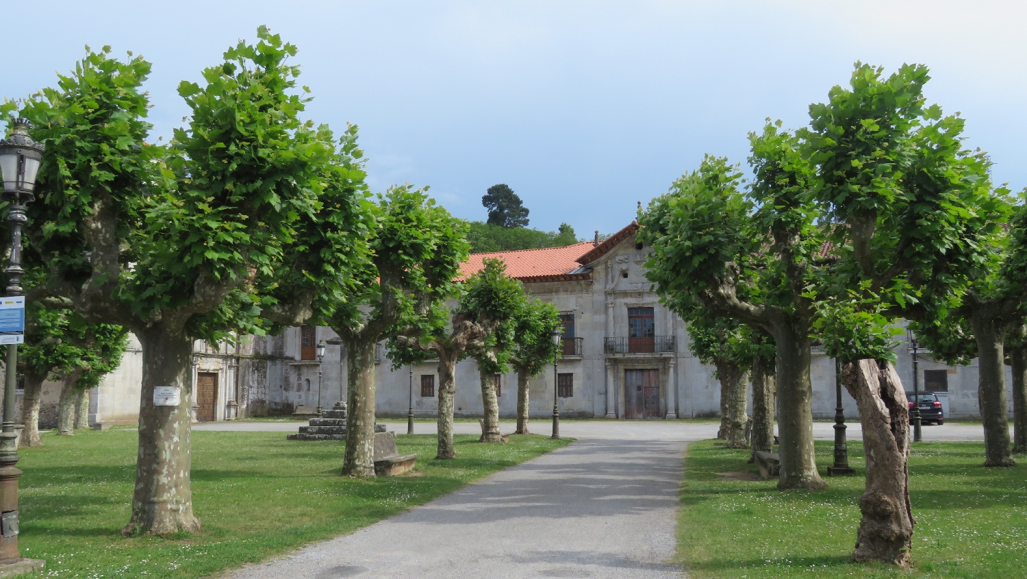 Camino Primitivo, Cornellana, San Salvador kolostor, platánfasor