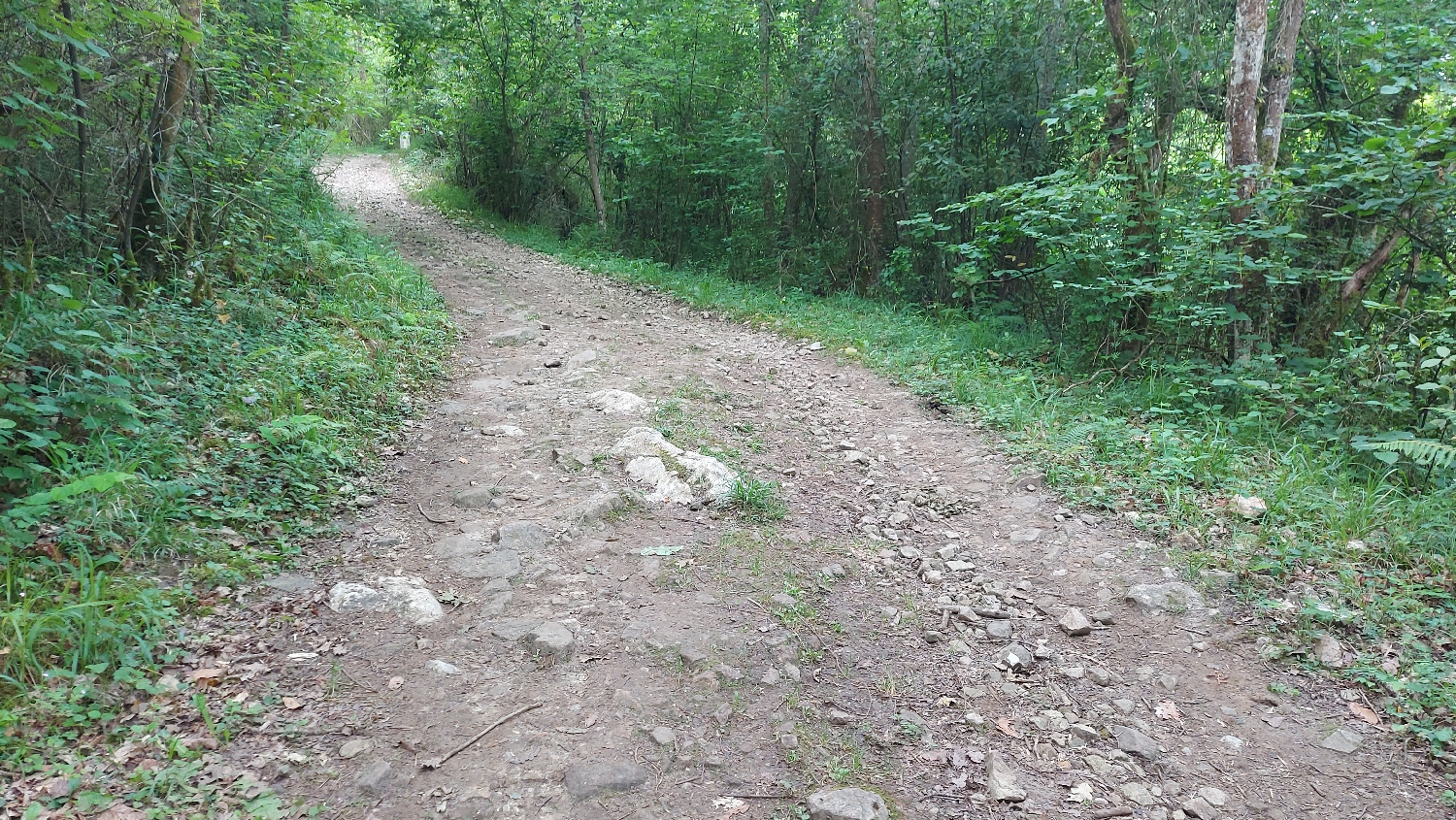 Camino Primitivo, gyalogút