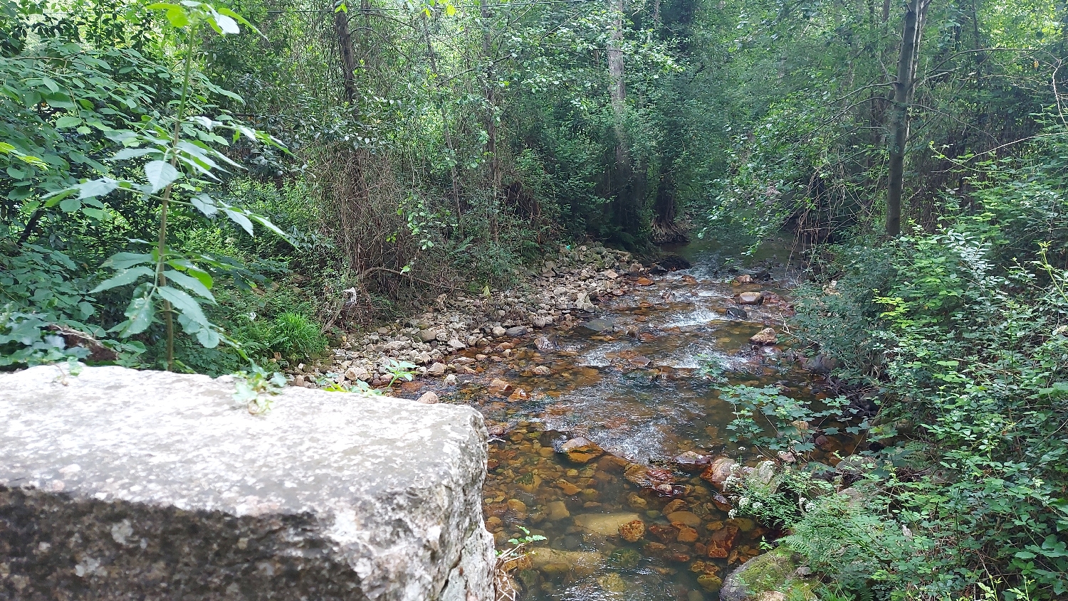 Camino Primitivo, patak