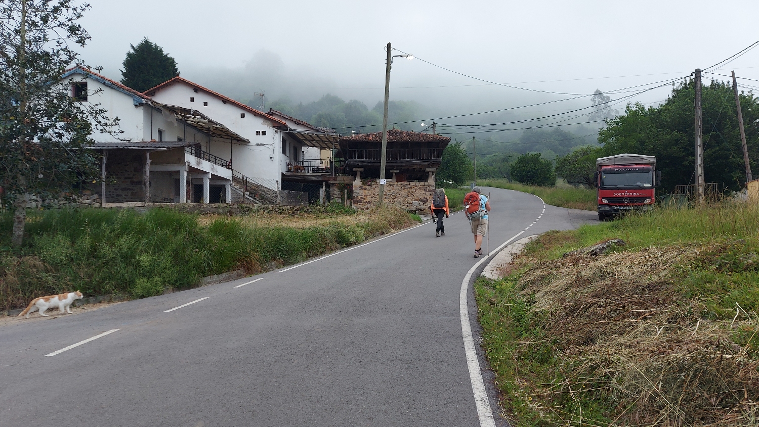 Camino Primitivo, aszfaltút vezet a hegyre fel Cornellana után