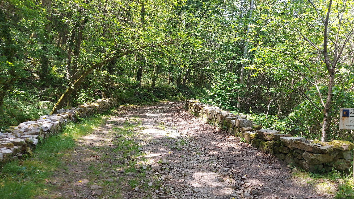 Camino Primitivo, erdei út