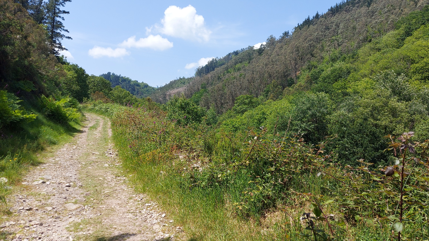 Camino Primitivo, gyalogút