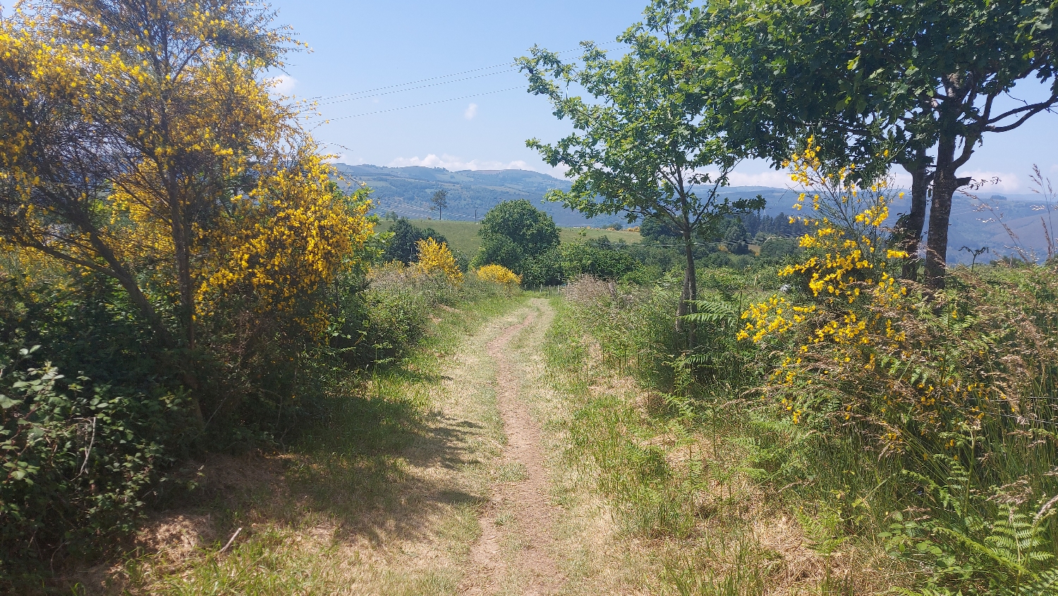 El Camino Primitivo, kellemes út