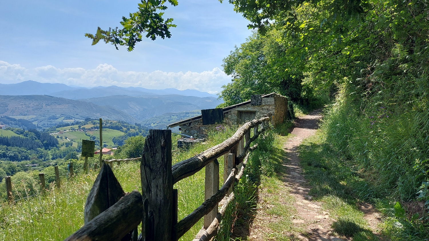 El Camino Primitivo, Tineo utáni gyalogösvény