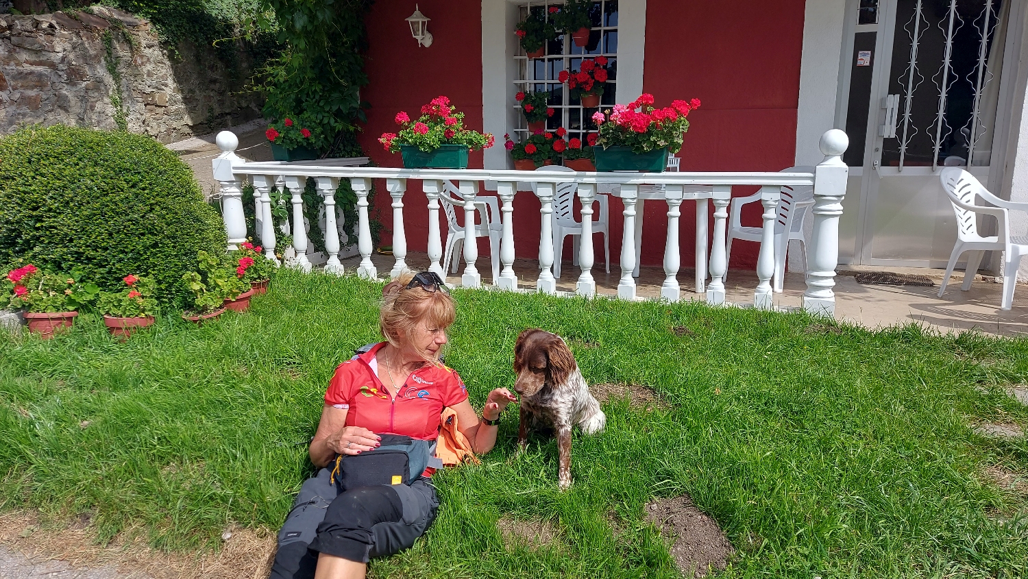 El Camino Primitivo, egy barátságos kutyus Annával játszik