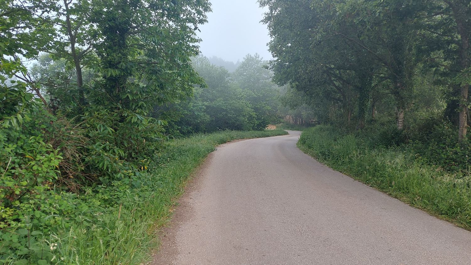 El Camino Primitivo, felszálló köd