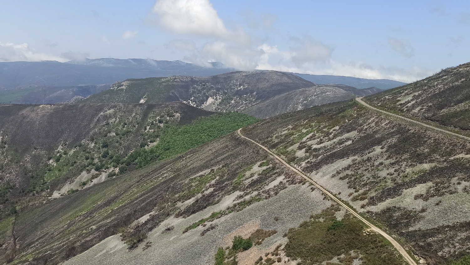 El Camino Primitivo, az áprilisi erdőtűz nyoma a Puerto del Palo hegycsúcsról lefelé