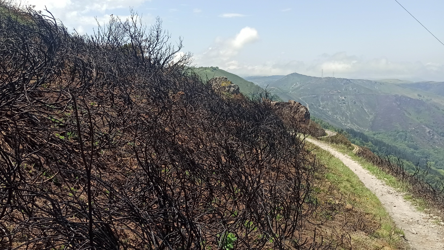 El Camino Primitivo, az áprilisi erdőtűz nyoma a Puerto del Palo hegycsúcsról lefelé