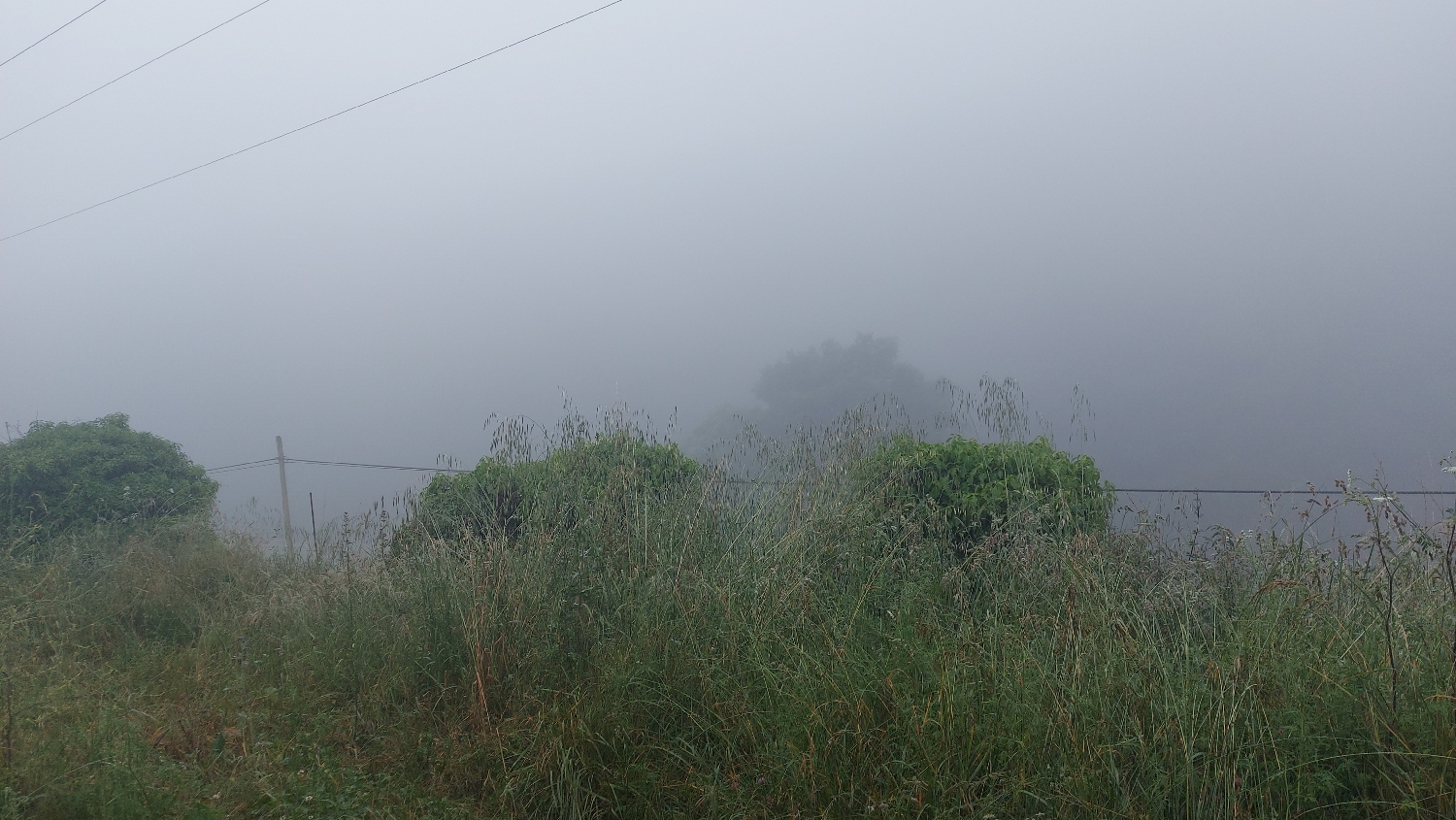 El Camino Primitivo, ködös táj