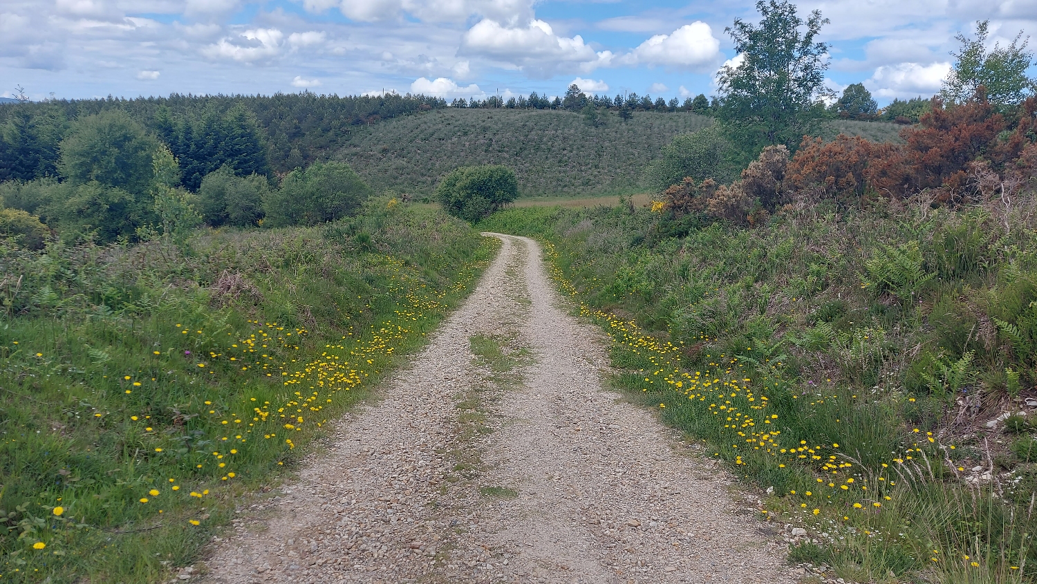 El Camino Primitivo, gyalogút