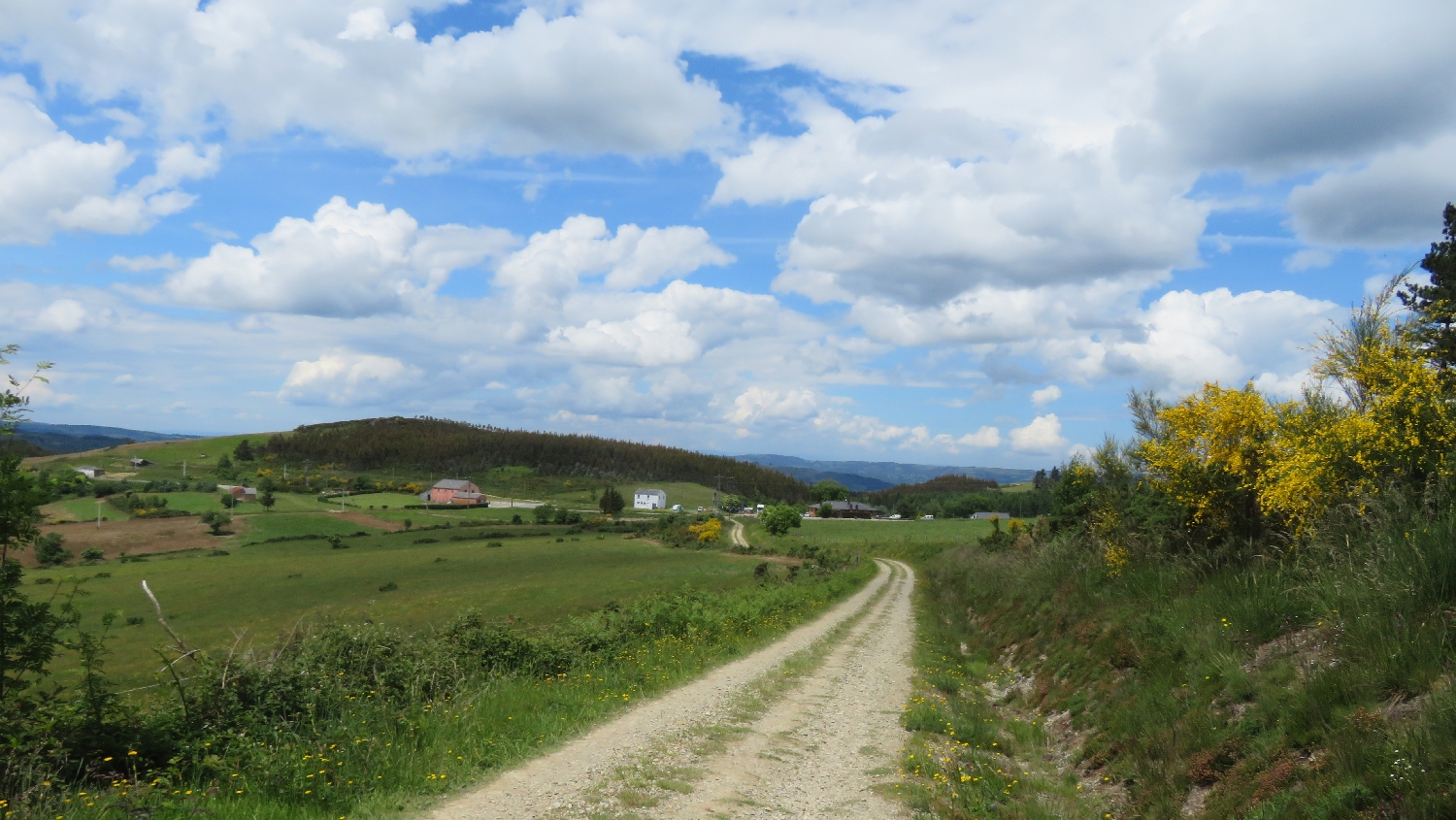 El Camino Primitivo, gyalogút