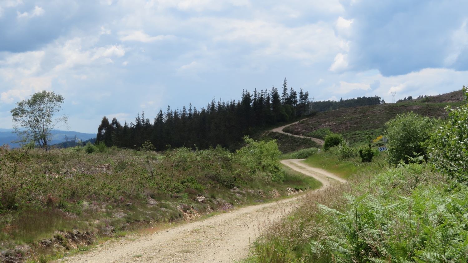 El Camino Primitivo, gyalogút