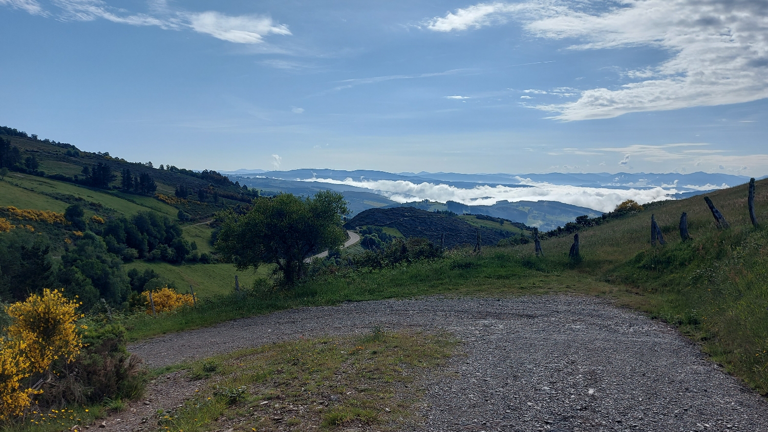 El Camino Primitivo, szép táj sárga bokrokkal és a völgyben megülő felhővel